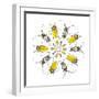 Circular Beetle Design with Horned Beetles Celosterna Pollinosa and Aristobia Voeti-Darrell Gulin-Framed Photographic Print