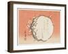 Circular Branch of a Flowering Plum, C.1854-59-Shunsui-Framed Giclee Print