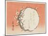 Circular Branch of a Flowering Plum, C.1854-59-Shunsui-Mounted Giclee Print