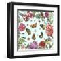 Circular Butterfly II-Melissa Wang-Framed Art Print