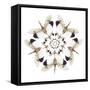 Circular Design of Pyrops Horsfieldii Winged Insect in White and Blacks-Darrell Gulin-Framed Stretched Canvas