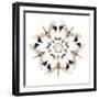 Circular Design of Pyrops Horsfieldii Winged Insect in White and Blacks-Darrell Gulin-Framed Photographic Print