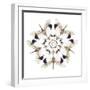 Circular Design of Pyrops Horsfieldii Winged Insect in White and Blacks-Darrell Gulin-Framed Photographic Print