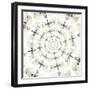 Circular design of Pyrops the Planthopper insect from Southeast Asia with wings out-Darrell Gulin-Framed Photographic Print