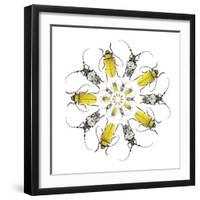 Circular design with Long Horn Beetles.-Darrell Gulin-Framed Photographic Print