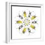 Circular design with Long Horn Beetles.-Darrell Gulin-Framed Photographic Print