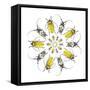 Circular design with Long Horn Beetles.-Darrell Gulin-Framed Stretched Canvas