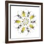 Circular design with Long Horn Beetles.-Darrell Gulin-Framed Photographic Print