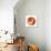 Circular Geo Fox-Milli Villa-Art Print displayed on a wall