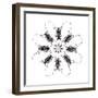 Circular Long Horn Beetle Design of Threnetica Lacrymans-Darrell Gulin-Framed Photographic Print