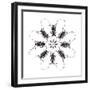 Circular Long Horn Beetle Design of Threnetica Lacrymans-Darrell Gulin-Framed Photographic Print