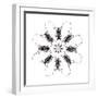 Circular Long Horn Beetle Design of Threnetica Lacrymans-Darrell Gulin-Framed Photographic Print