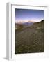 Circular Petroglyphs at the Edge of the Great Basin, Sierra Nevada Range in the Distance, Las Vegas-Dennis Flaherty-Framed Photographic Print