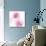 Circular Pink I-Natalie Harris-Art Print displayed on a wall