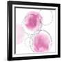 Circular Pink I-Natalie Harris-Framed Art Print