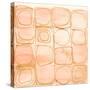 Circular Squares of Peach-Lanie Loreth-Stretched Canvas