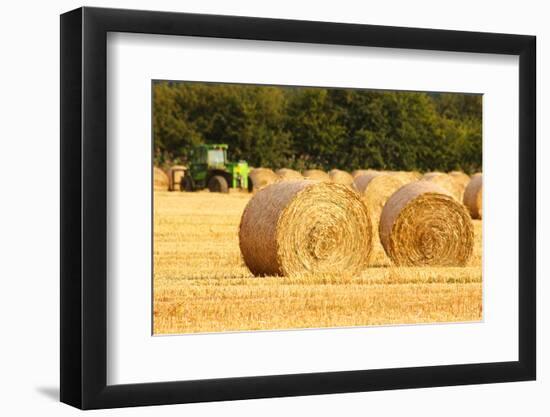 Circular Straw Bales-Stocksolutions-Framed Photographic Print