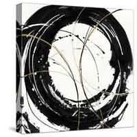 Circular Web-Chris Paschke-Stretched Canvas