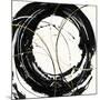 Circular Web-Chris Paschke-Mounted Art Print
