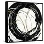 Circular Web-Chris Paschke-Framed Stretched Canvas