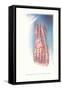 Circulation and Nerves of Dorsum of Foot-Found Image Press-Framed Stretched Canvas