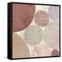 Circulation II v2 Blush-Michael Mullan-Framed Stretched Canvas