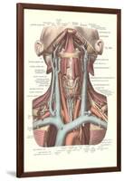 Circulation in the Neck-null-Framed Art Print