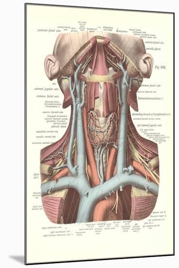 Circulation in the Neck-null-Mounted Art Print