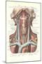Circulation in the Neck-null-Mounted Art Print
