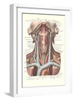 Circulation in the Neck-null-Framed Art Print