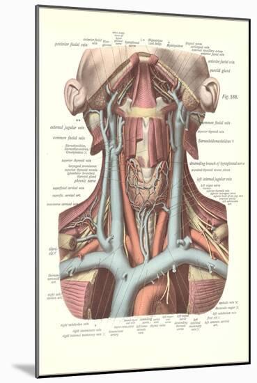 Circulation in the Neck-null-Mounted Art Print