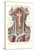 Circulation in the Neck-null-Stretched Canvas