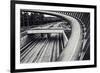 Circulation-null-Framed Art Print