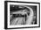 Circulation-Piet Flour-Framed Photographic Print