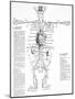 Circulatory System, 16th Century-Science Photo Library-Mounted Photographic Print