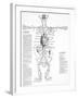 Circulatory System, 16th Century-Science Photo Library-Framed Photographic Print