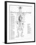 Circulatory System, 16th Century-Science Photo Library-Framed Photographic Print