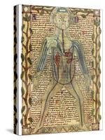 Circulatory System, 17th Century-Science Photo Library-Stretched Canvas