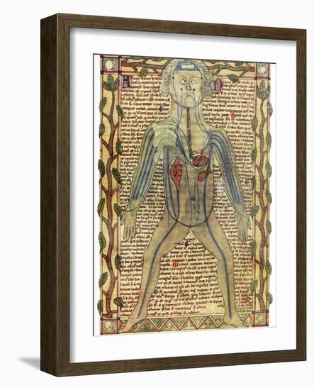 Circulatory System, 17th Century-Science Photo Library-Framed Photographic Print
