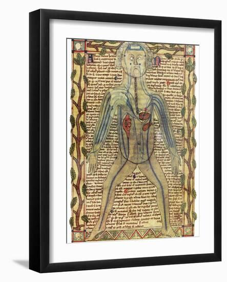 Circulatory System, 17th Century-Science Photo Library-Framed Photographic Print