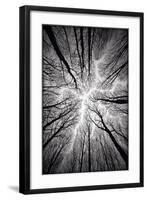 Circulatory System of the Forest-null-Framed Premium Giclee Print