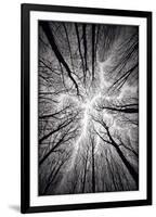 Circulatory System of the Forest-null-Framed Premium Giclee Print