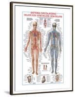Circulatory System-Libero Patrignani-Framed Premium Giclee Print
