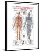 Circulatory System-Libero Patrignani-Framed Premium Giclee Print