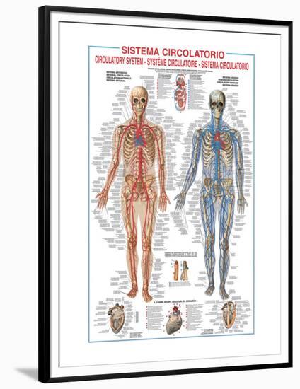 Circulatory System-Libero Patrignani-Framed Premium Giclee Print