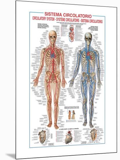 Circulatory System-Libero Patrignani-Mounted Premium Giclee Print