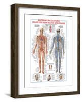 Circulatory System-Libero Patrignani-Framed Art Print