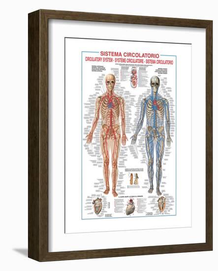 Circulatory System-Libero Patrignani-Framed Art Print