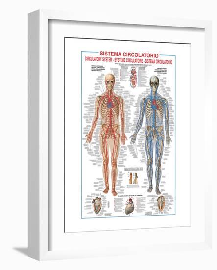 Circulatory System-Libero Patrignani-Framed Art Print