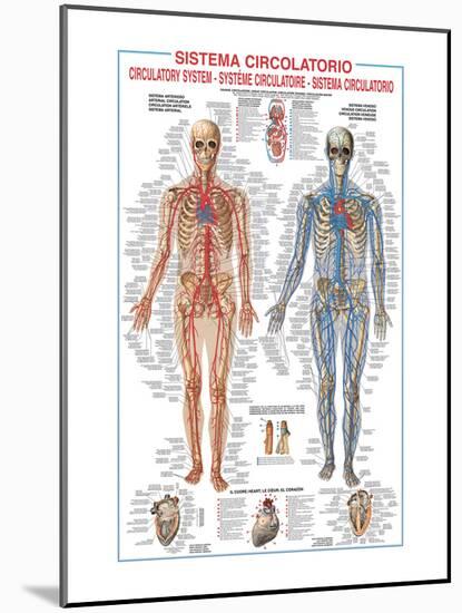 Circulatory System-Libero Patrignani-Mounted Art Print